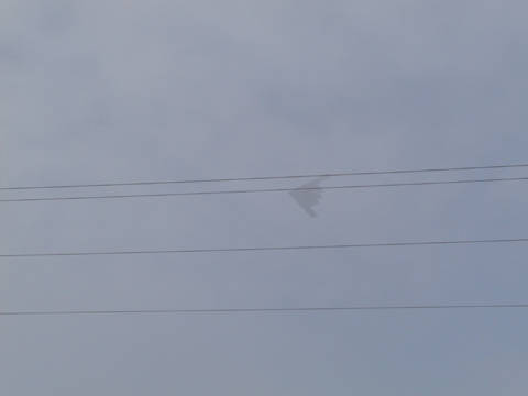 B-2 Stealth Bomber doing a fly-by over Sheboygan